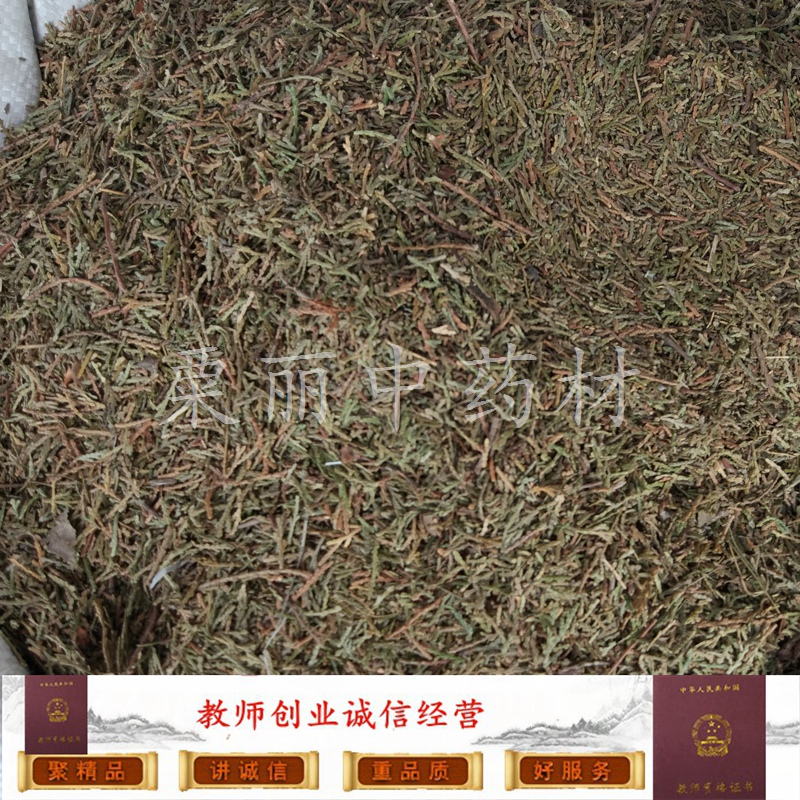 野生侧柏叶生发洗发测柏叶洗头侧伯叶中药材可搭配桑叶苦丁茶一斤