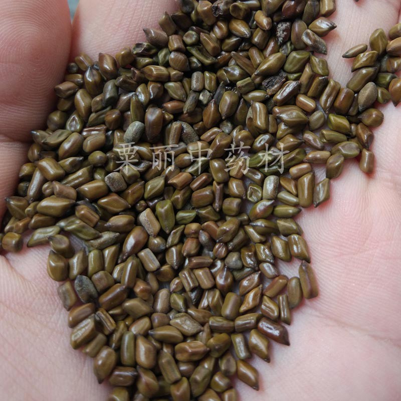 包邮小孩玩的决明子5斤装玩具沙批量发儿童沙子宝宝枕芯泡茶散装