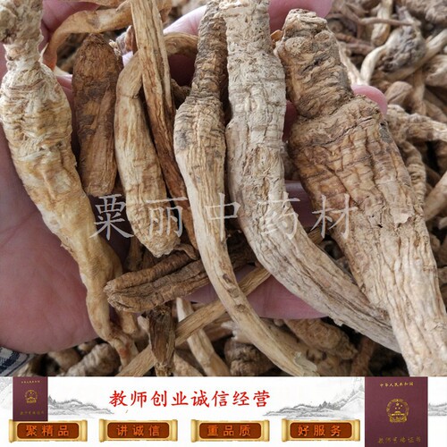 中药材南沙参泡参正品干品