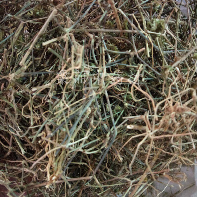 孩儿草蓝色草 包邮 黄蜂草土夏枯草肝火清热利湿茶积药草消积茶