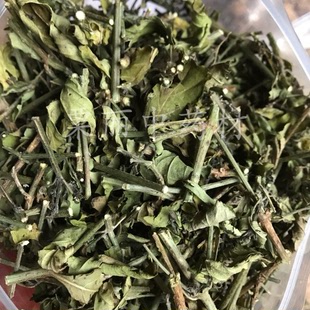 野生中草药白鹤灵芝   仙草 白鹤灵芝草 干品货 500克包邮