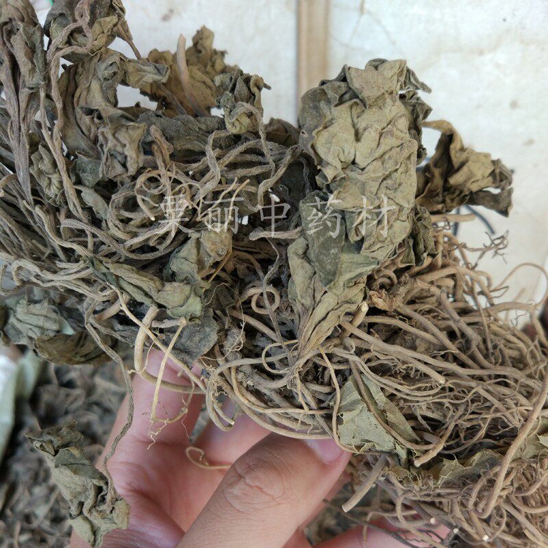 金耳环 500克包邮 中药材 野生土细辛 一块瓦 大叶细辛大叶山茨菇