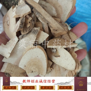 接骨木 扦扦活 接骨风 接骨丹 续骨木 舒筋树500克 包邮 干品