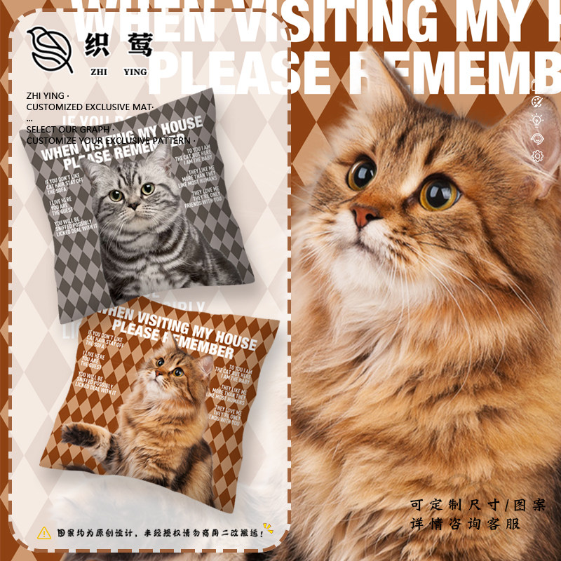 布偶猫美短蓝猫猫咖宠物店养猫人抱枕床头沙发靠枕靠垫办公室腰枕