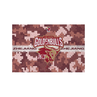 中国男篮新疆广东北控浙江广州福建上海宁波丝圈地垫入户门口脚垫