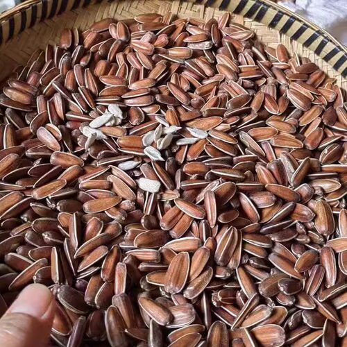即食口感甘甜生吃云南特产