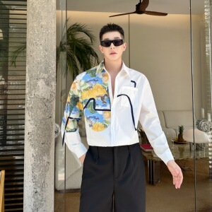 韩版油画白衬衫轻奢高级感法式上衣男P85图片