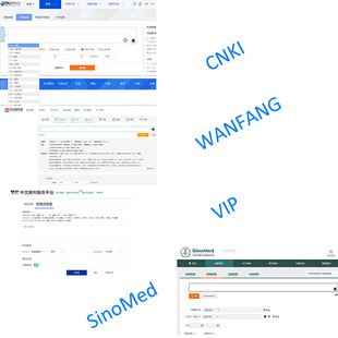 中文检索式设计(CNKI、WANFANG、VIP、SINOMED et.al)
