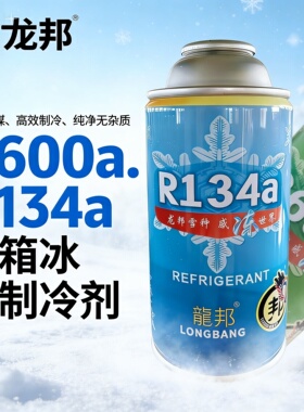 汽车冷媒R134a制冷剂冷媒冰种冰箱专用雪种R600环保车用加氟套装