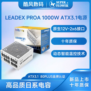 振华 LEADEX PROA1000W金牌全模组电脑台式机主机机箱850W电源3.1