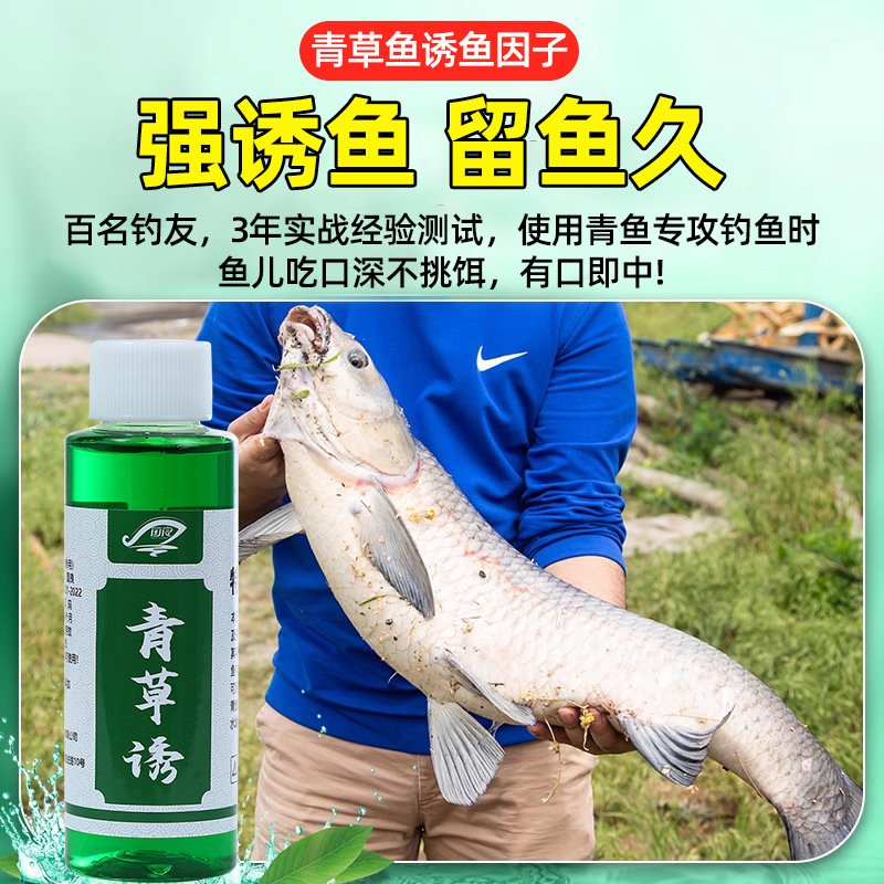 青草诱战青鱼草鱼克星钓鱼小药鲫鲤巨大物鲢鳙饵窝料开口剂原浆液,户外/登山/野营/旅行用品,台钓饵,淘宝优惠券,粉丝福利购,淘宝优惠卷