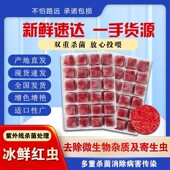 冰冻红虫鱼食冷冻新鲜速冻24粒红虫六角恐龙七彩神仙鱼小型鱼食粮