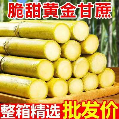 新鲜现砍黄皮甘蔗多汁水果包邮