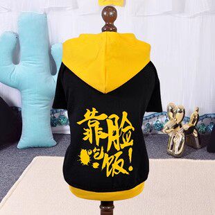 宠物小狗狗衣服春季泰迪博美比熊小鹿犬猫咪春装小型犬幼犬夏季薄