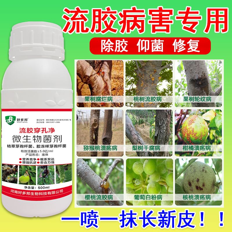 果树流胶穿孔净桃树流胶病专用植物腐烂溃疡病封口愈合微生物菌剂