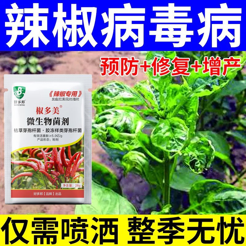 椒病清辣椒通用型肥料植物辣椒疫病清复合微生物菌剂