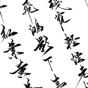 秀丽笔临摹字帖行草江湖体唯美霸气成人大学生软笔书法练习