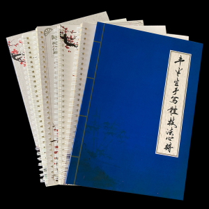 钢笔硬笔临摹字帖大学生练字男女生霸气临摹大气飘逸潇洒原创字体