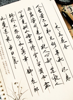 临摹字帖艺术大学生书法硬笔原创