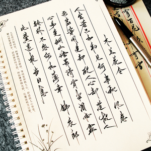 临摹字帖艺术大学生书法硬笔原创