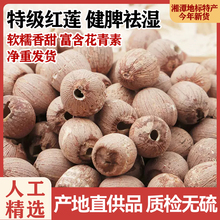 【出口级】湖南特产特级新鲜红莲子无硫去芯湘潭白莲子粉糯干货