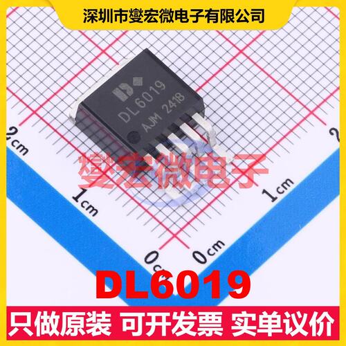 DL6019 TO-263-5L DC-DC电源转换器芯片IC