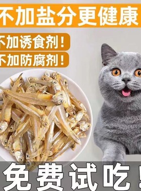 宠物零食小鱼干猫猫零食淡干公鱼仔猫咪增肥发腮大包装巨量钜惠装