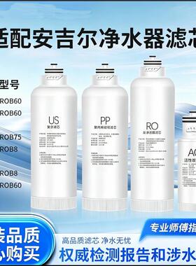 通用安吉尔净水器滤芯A6pro/A4/S6/J2666/S2/K7US/AC/PPUS/ROB8