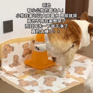 公狗尿尿立柱狗狗导尿柱子拉尿神器小狗撒尿引导防乱尿定点上厕所