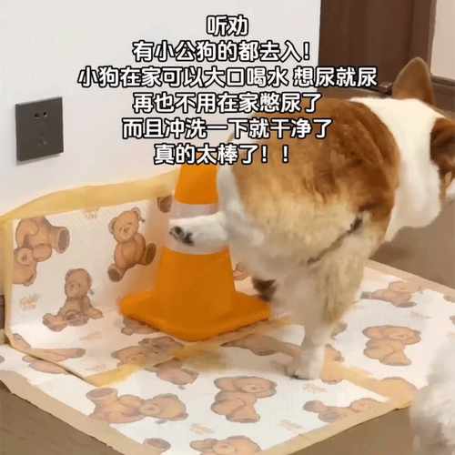 公狗尿尿立柱狗狗导尿柱子拉尿神器小狗撒尿引导防乱尿定点上厕所
