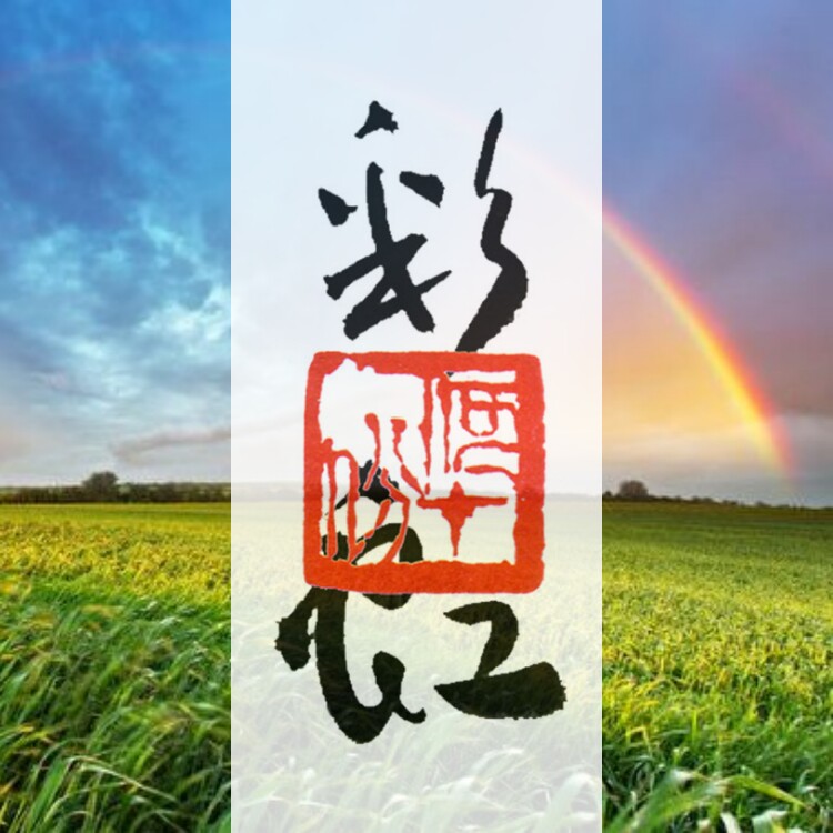 老彩虹 行家珍藏