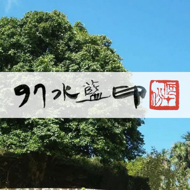 97水蓝印 行家珍藏