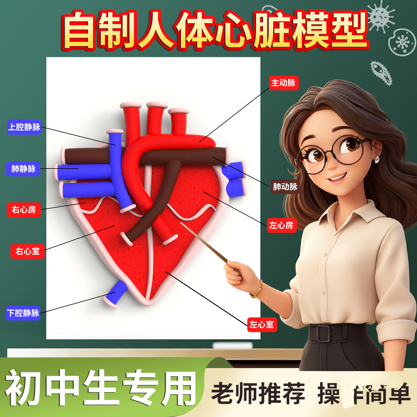 六鑫心脏模型人体器官七年级下册生物人体结构模型科技小制作手工diy材料橡皮泥小学生专用科学小实验模型