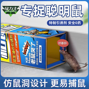 老鼠贴强力粘鼠板强力胶粘大老鼠捕鼠神器一窝端厨房家用灭鼠无药