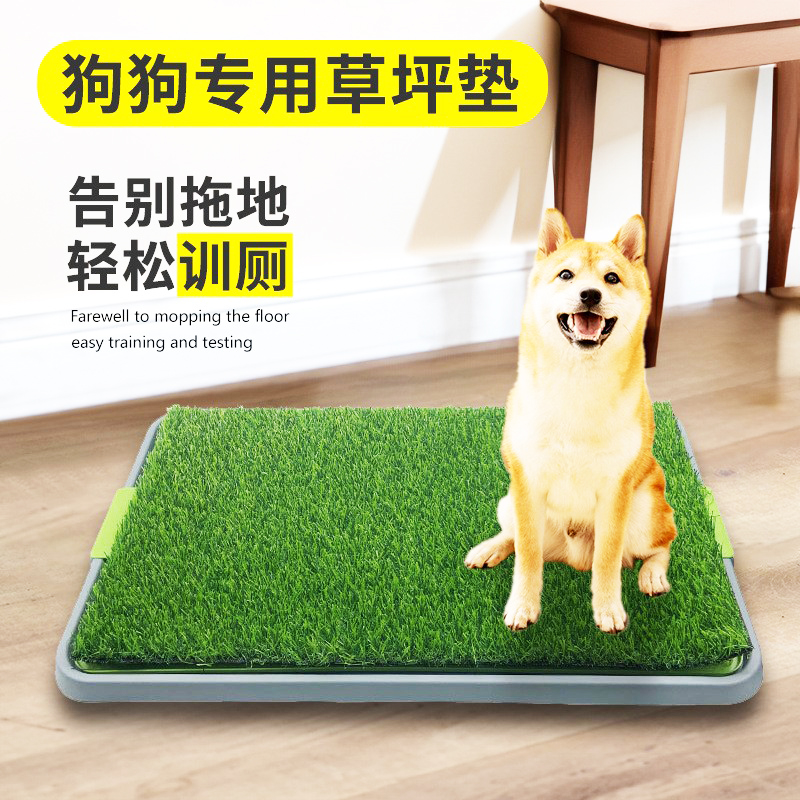仿真草坪抖音网红尿壶除臭厕所