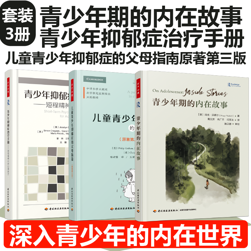 青少年内在生命谈话治疗