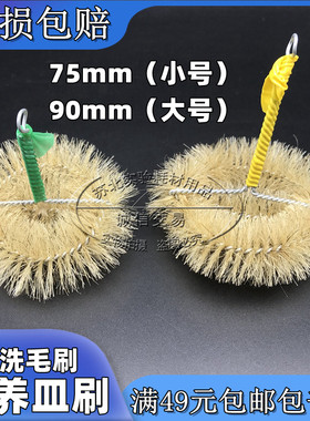 玻璃培养皿刷子清洗毛刷大号小号
