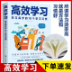 高效学习 慧雅精选 抖音同款 学习态度方法习惯教育引导提高学习效率方法书籍学习XQ 10个学习习惯 学习高手