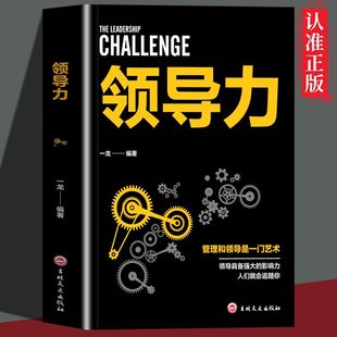 领导力 速发 领导力带团队让别人跟随你打造高绩效团队实战管理技巧沟通管理和领导是一门艺术书籍sj 正版