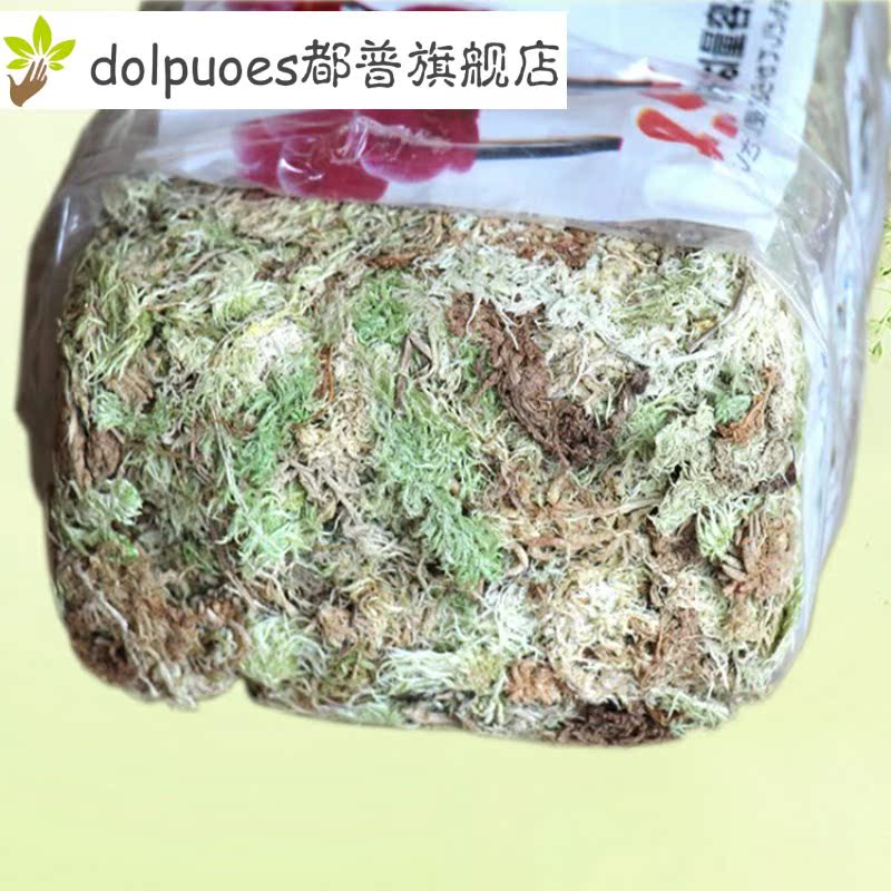 育苗石斛铁皮干水苔兰花蝴蝶兰专用水苔栽培介质营养土种植干苔藓 众品券 育苗石斛铁皮干水苔兰花蝴蝶兰专用水苔栽培介质营养土种植干苔藓 众品券