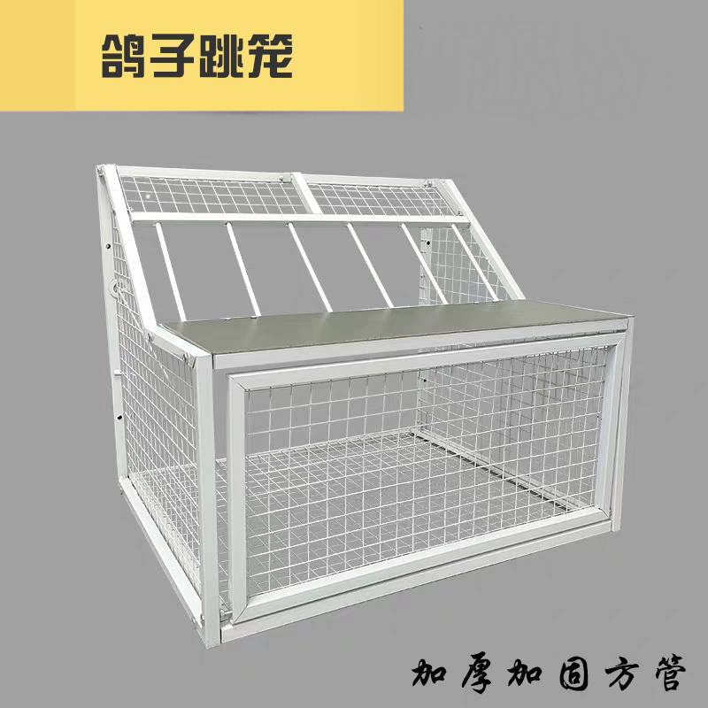 鸽子跳笼信鸽赛鸽用品用具鸽棚鸽舍进口只进不出跳笼放飞笼门