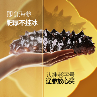 老王即食海参鲜食活辽参大连海参旗舰店野生海参礼盒即食500g特价