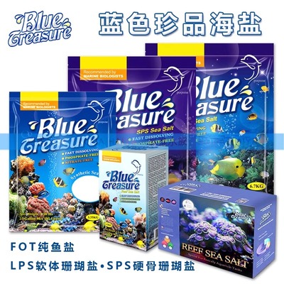 蓝色珍品海水盐珊瑚lps软体