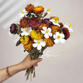 小雏菊满天星手作迷你干花束ins家居客厅卧室装 饰摆件轻奢diy材料