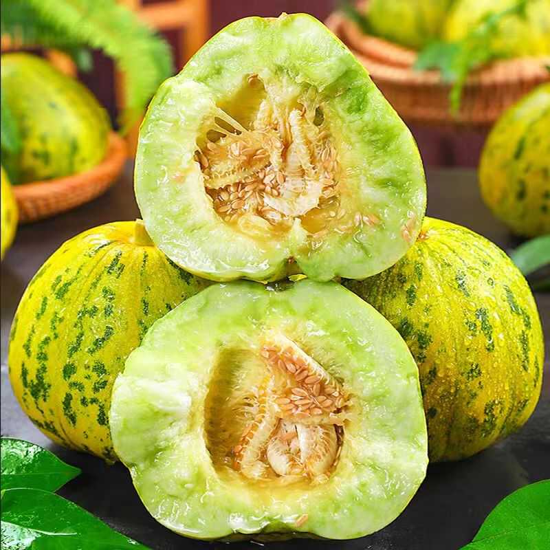 东北八里香甜瓜老品种脆甜好吃