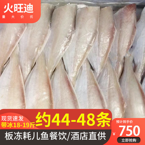 新鲜冷冻耗儿扒皮鱼大号100/200