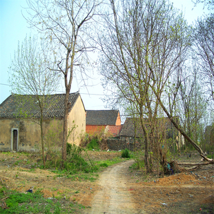 3d直播间主播背景墙布拍视频窑洞农民乡村土砖破旧房屋网红背景布