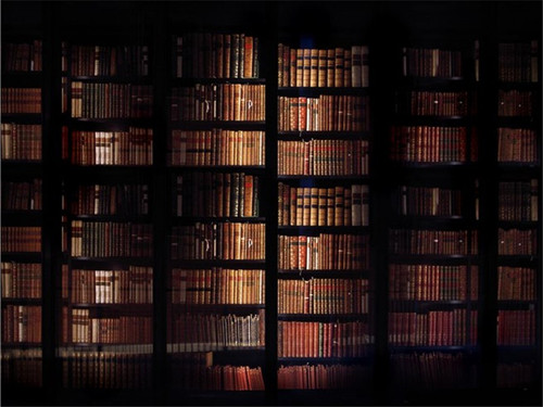 3d背景布舞台书柜砖头墙背景布