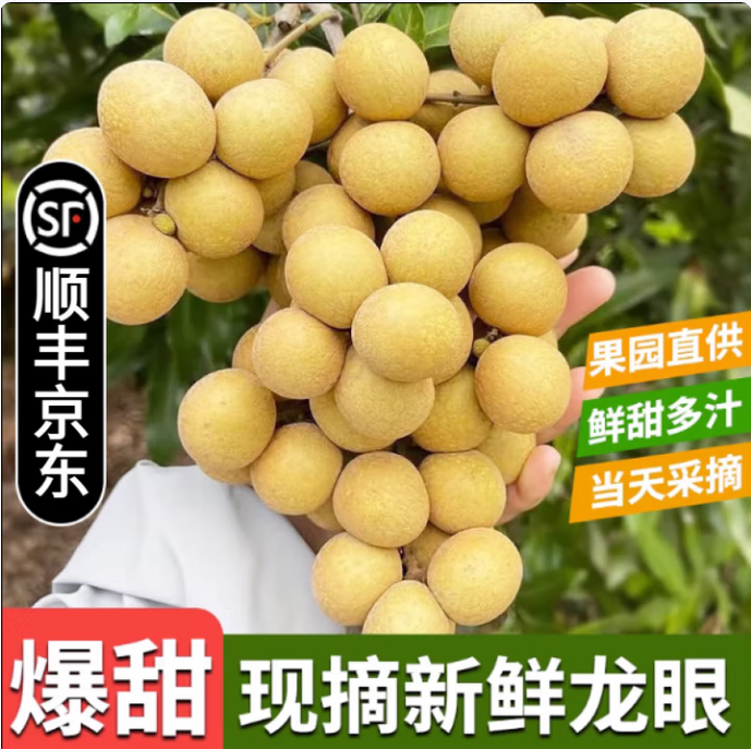 海南三亚石峡龙眼三亚当季新鲜水果5斤非储量泰国现摘顺丰空运