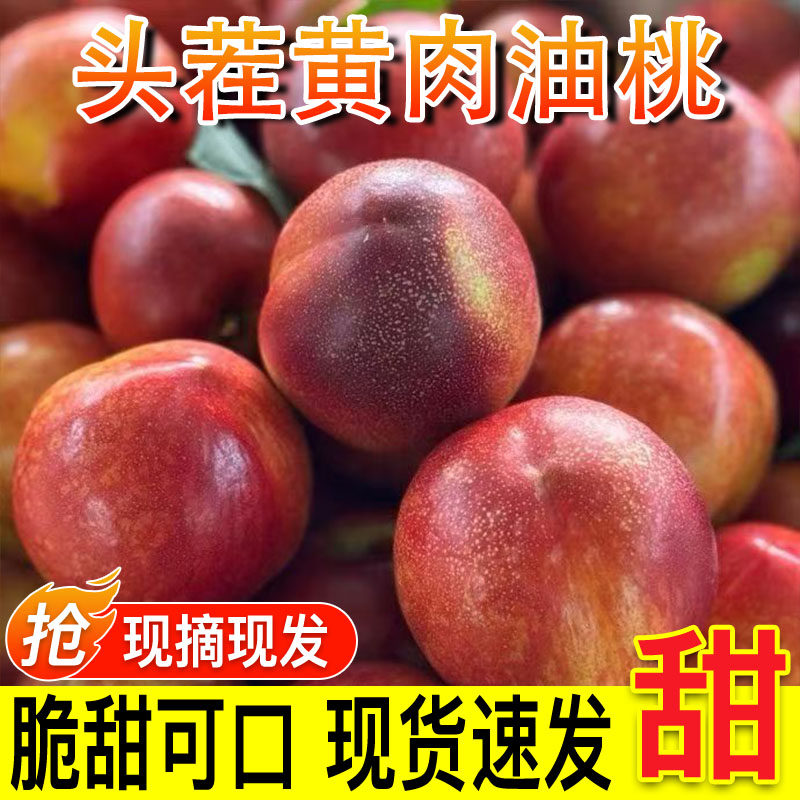 正宗陕西黄肉油桃新鲜水果现摘桃子应季蜜桃黄心脆桃鲜果多汁包邮